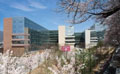 Sungshin University(誠信女子大学)