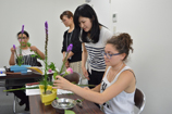 concentrated_course_japanese_clubvisit4_01_2014.jpg