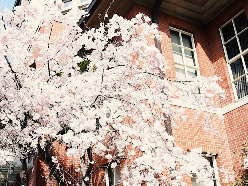 同志社女子大学