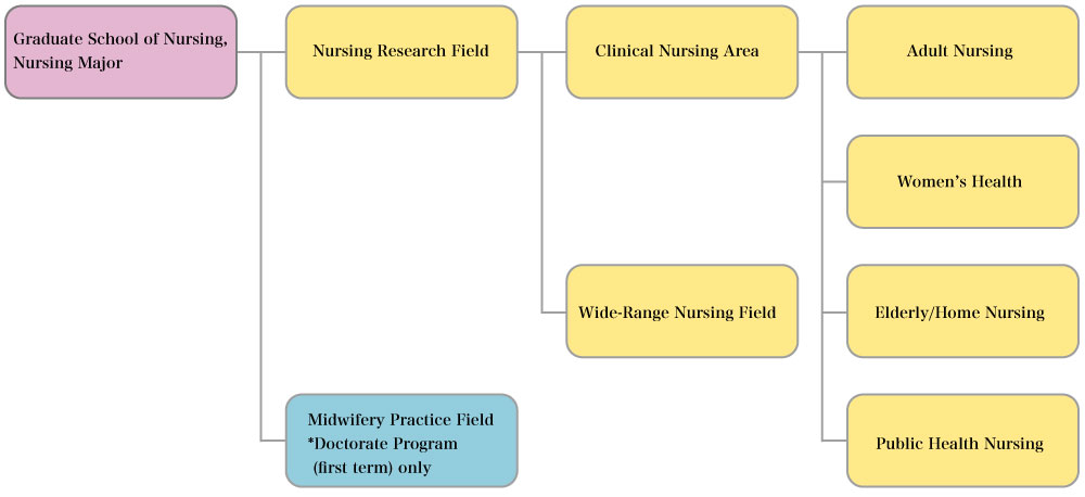 nursing_research_diagram.jpg