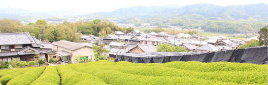 京田辺市ふるさと納税のご案内