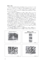 同志社看護　第4巻2019年