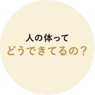 人の体ってどうできてるの？