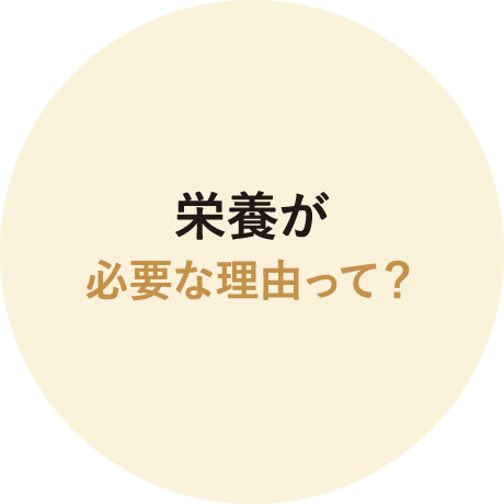 栄養が必要な理由って？